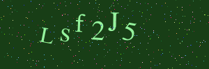 Validation image